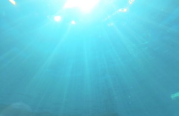 【豊田市で浮気不倫調査に強いLove&Free探偵事務所】依頼の流れを説明しています｜不貞行為の証明はお任せ