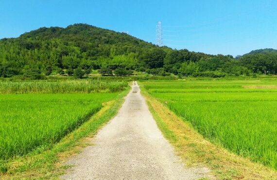 【三重県始め名古屋や豊田市で浮気調査できる探偵】正しい探偵の選び方|安心して依頼できるLove&Free探偵事務所